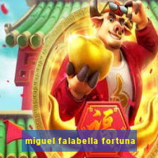 miguel falabella fortuna